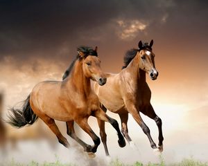 Превью обои лошади, бег, трава, облака