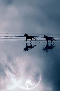 Превью обои лошади, море, берег, пара, бежать, вечер