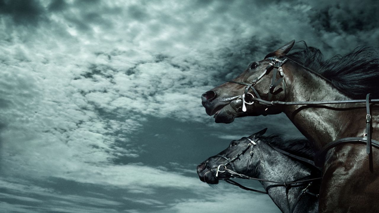Обои лошади, небо, темный, скорость