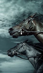 Превью обои лошади, небо, темный, скорость