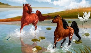Превью обои лошади, пара, игра, вода, брызги, пруд, цапли