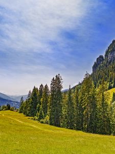 Превью обои луг, деревья, лес, трава, природа