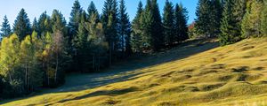 Превью обои луг, деревья, пейзаж, природа, трава