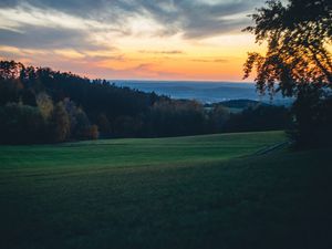 Превью обои луг, деревья, закат, пейзаж, природа