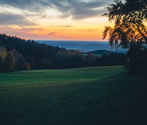 Превью обои луг, деревья, закат, пейзаж, природа