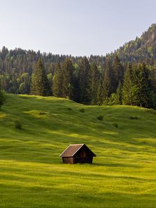 Превью обои луг, дом, трава, деревья, лес