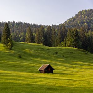 Превью обои луг, дом, трава, деревья, лес