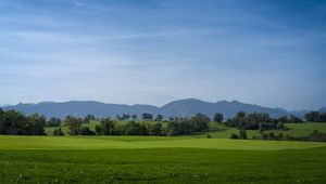 Превью обои луг, пейзаж, деревья, горы, природа