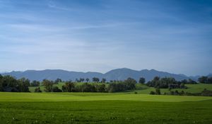 Превью обои луг, пейзаж, деревья, горы, природа