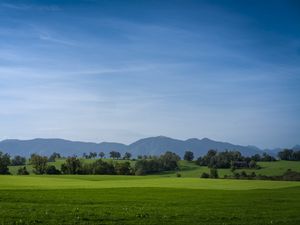 Превью обои луг, пейзаж, деревья, горы, природа