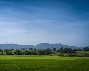 Превью обои луг, пейзаж, деревья, горы, природа