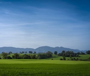 Превью обои луг, пейзаж, деревья, горы, природа