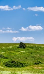 Превью обои луг, трава, кусты, холм, пейзаж