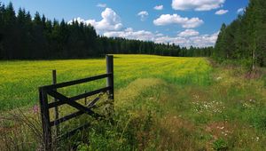 Превью обои луг, цветы, облака, калитка, ограждение, зеленый