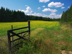 Превью обои луг, цветы, облака, калитка, ограждение, зеленый