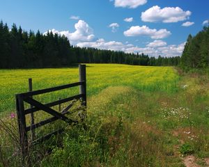 Превью обои луг, цветы, облака, калитка, ограждение, зеленый