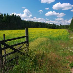 Превью обои луг, цветы, облака, калитка, ограждение, зеленый