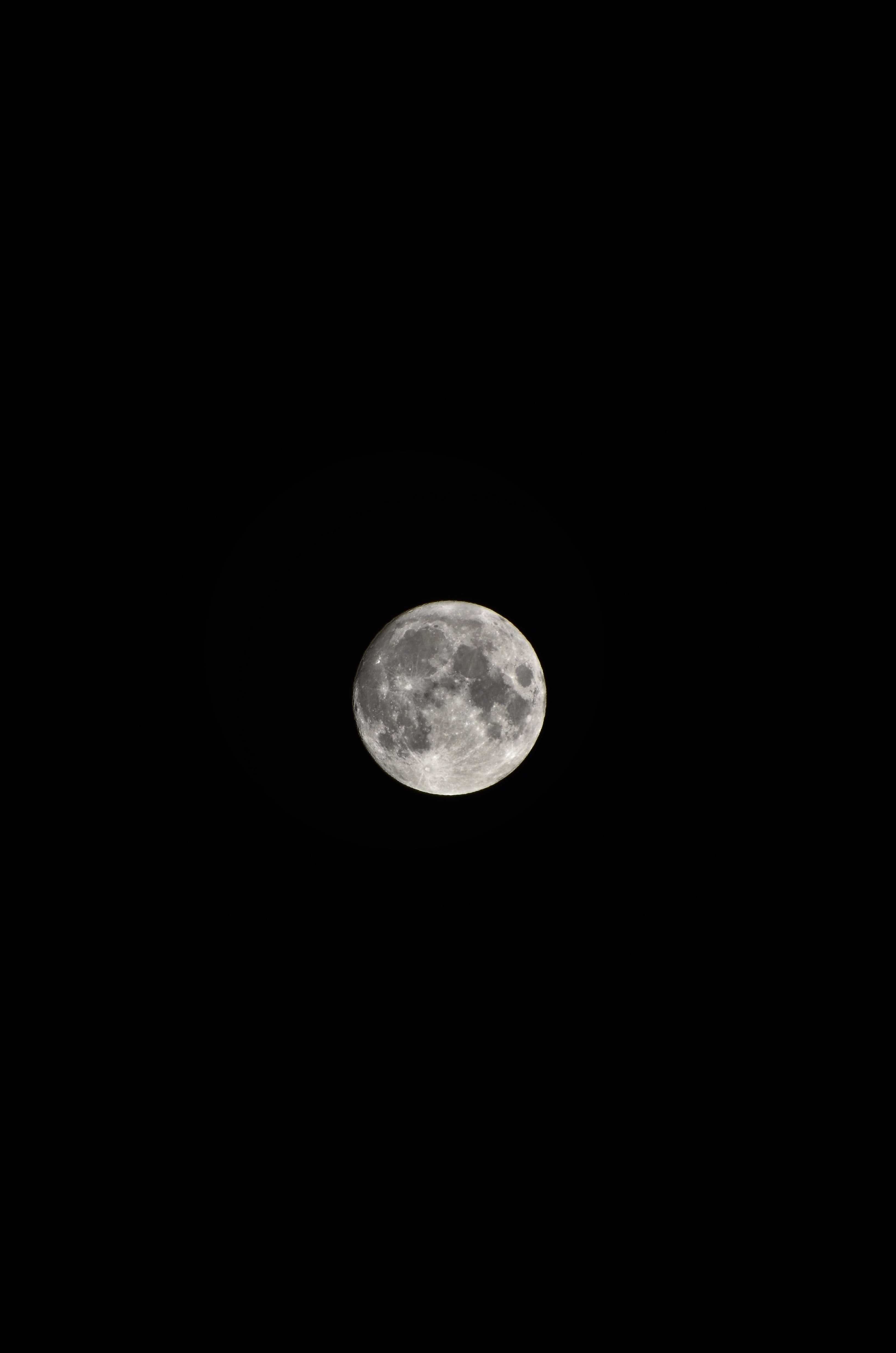 Dark night black moon тг