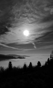Превью обои луна, деревья, чб, лес, небо