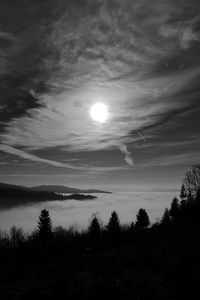 Превью обои луна, деревья, чб, лес, небо