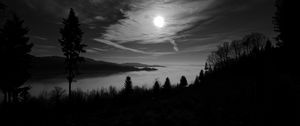 Превью обои луна, деревья, чб, лес, небо