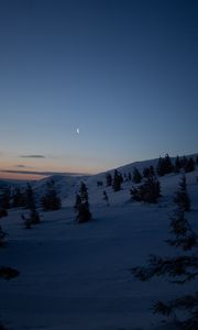 Превью обои луна, деревья, холмы, ночь, снег, зима