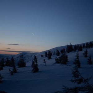 Превью обои луна, деревья, холмы, ночь, снег, зима