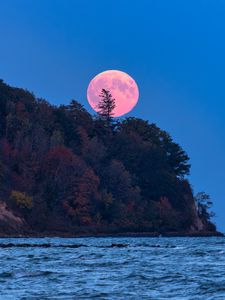 Превью обои луна, деревья, море, пейзаж, природа