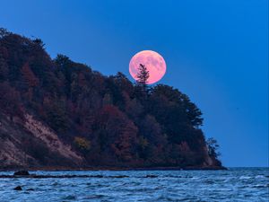 Превью обои луна, деревья, море, пейзаж, природа