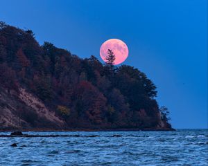 Превью обои луна, деревья, море, пейзаж, природа
