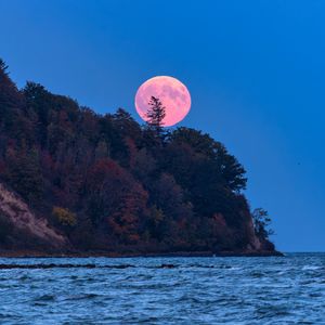 Превью обои луна, деревья, море, пейзаж, природа