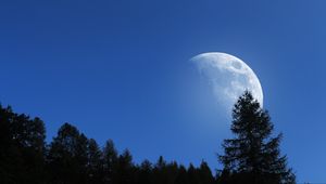 Превью обои луна, деревья, небо, природа