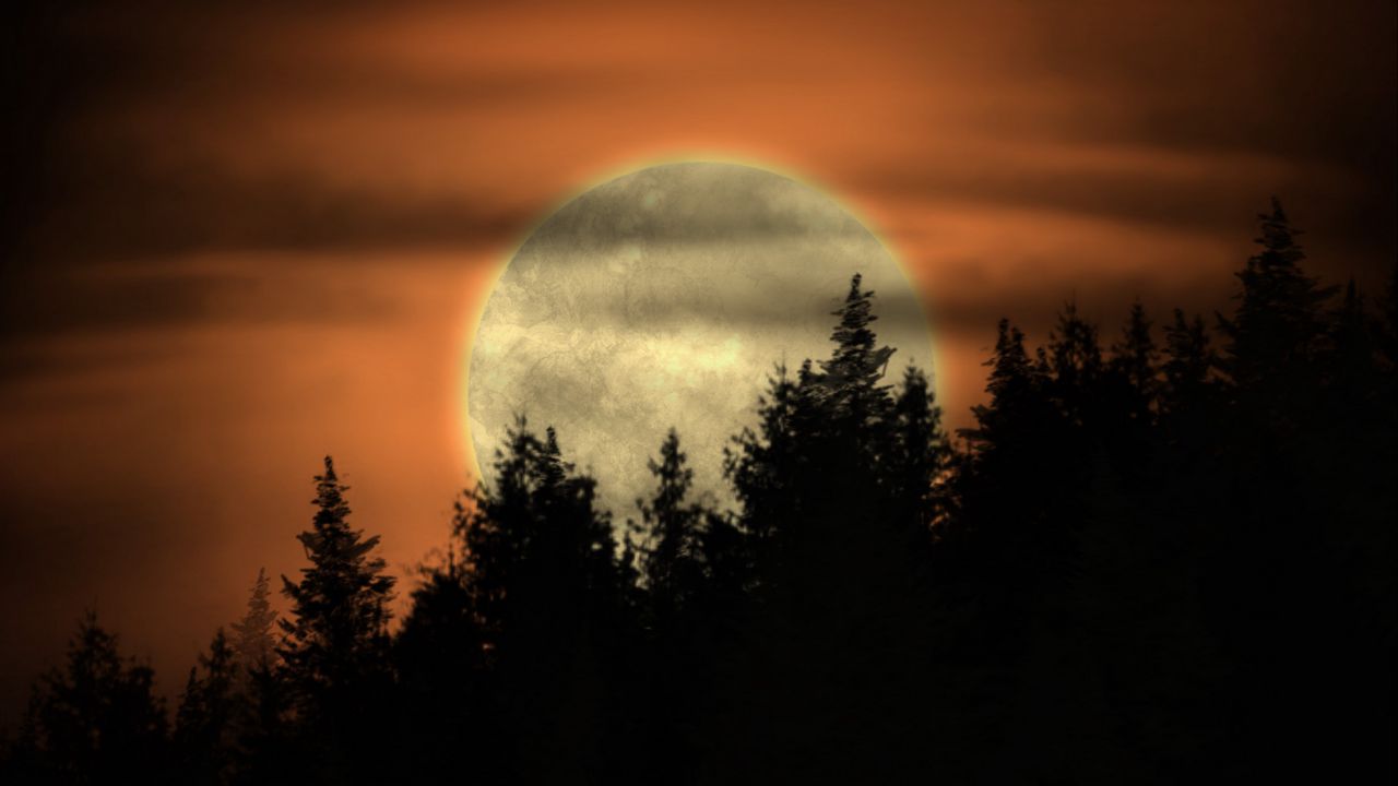 Обои луна, деревья, ночь, темный, арт