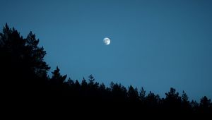 Превью обои луна, деревья, силуэты, очертания, ночь, темный