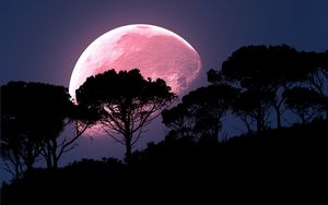 Превью обои луна, дерево, фотошоп, ночь, полнолуние, планета