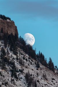 Превью обои луна, гора, склон, деревья