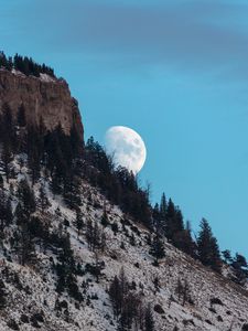 Превью обои луна, гора, склон, деревья