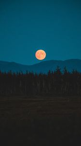 Превью обои луна, горы, деревья, ель, ночь