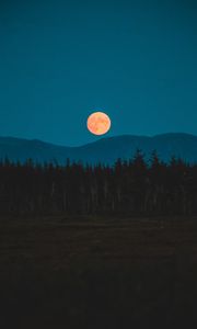 Превью обои луна, горы, деревья, ель, ночь