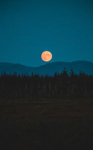 Превью обои луна, горы, деревья, ель, ночь