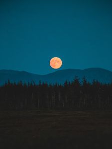 Превью обои луна, горы, деревья, ель, ночь