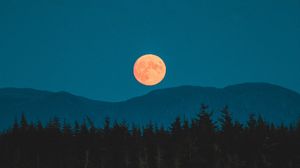 Превью обои луна, горы, деревья, ель, ночь