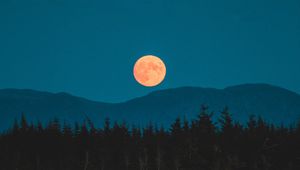 Превью обои луна, горы, деревья, ель, ночь