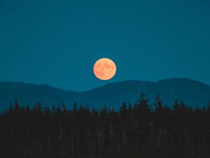Превью обои луна, горы, деревья, ель, ночь