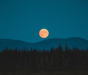 Превью обои луна, горы, деревья, ель, ночь