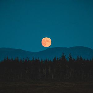 Превью обои луна, горы, деревья, ель, ночь