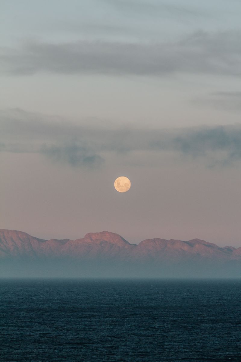 туманное море