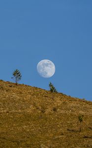 Превью обои луна, холм, деревья, полнолуние