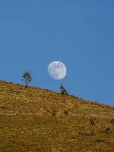 Превью обои луна, холм, деревья, полнолуние