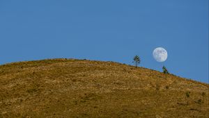 Превью обои луна, холм, деревья, полнолуние